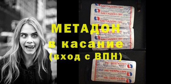 прущие грибы Аркадак