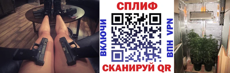 сколько стоит  Муравленко  Каннабис планчик 